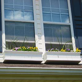 two windows next to each other with closely spaced window boxes