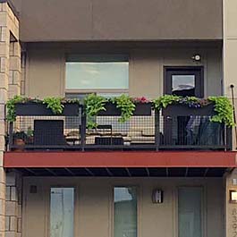 black window boxes on railing of modern style home 