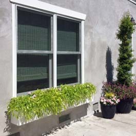 low to ground window box with green grass 