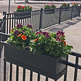 black railing planters on metal fence with purple pansies