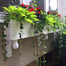 white window box with unique custom brackets and periwinkle vine